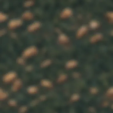 Innovative Logging Practices Abstract Coding Concept