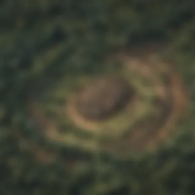 The Silent Threat: Deforestation and Global Warming Climate Change Impact