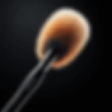 Magic Wand: Precision Blending Brush