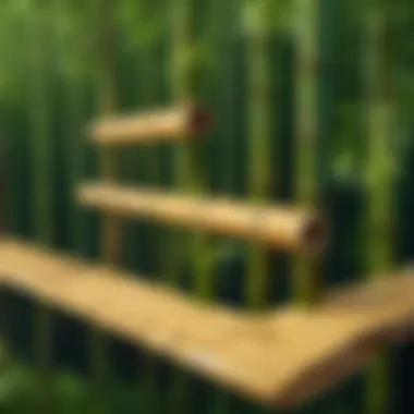 Bamboo CI/CD pipeline illustrating deployment processes