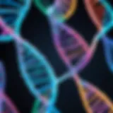 Visual representation of DNA sequences