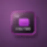 Customized YouTube logo in purple tones