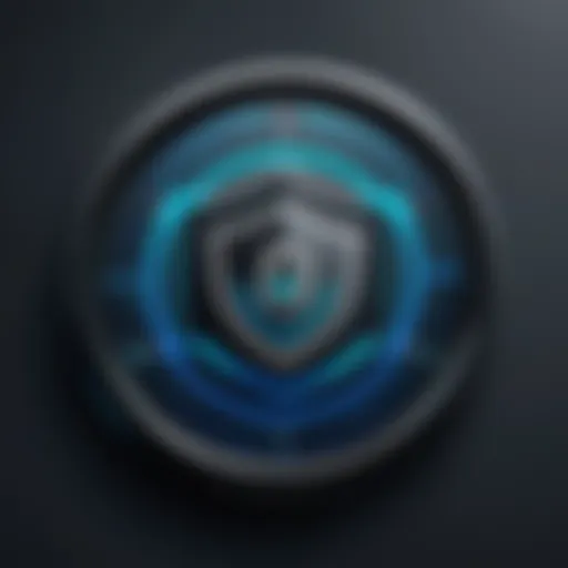 Data Security Measures Icon