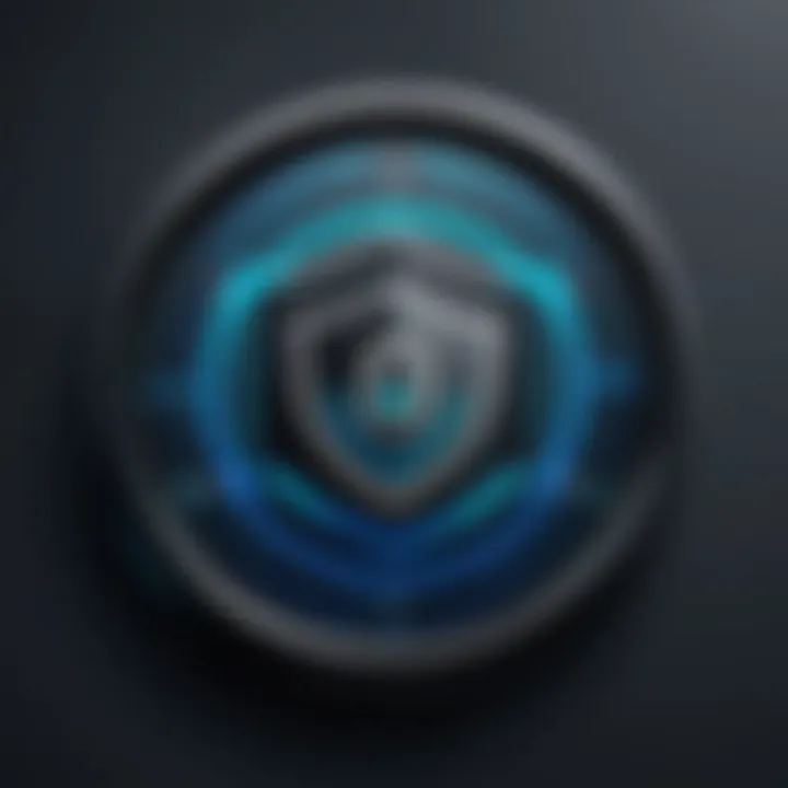 Data Security Measures Icon