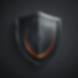 Data Security Shield