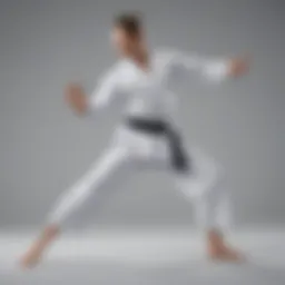 Graceful martial arts movement in competition