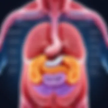 Digestive Health Benefits of Fiber Illustration of digestive health benefits from fiber