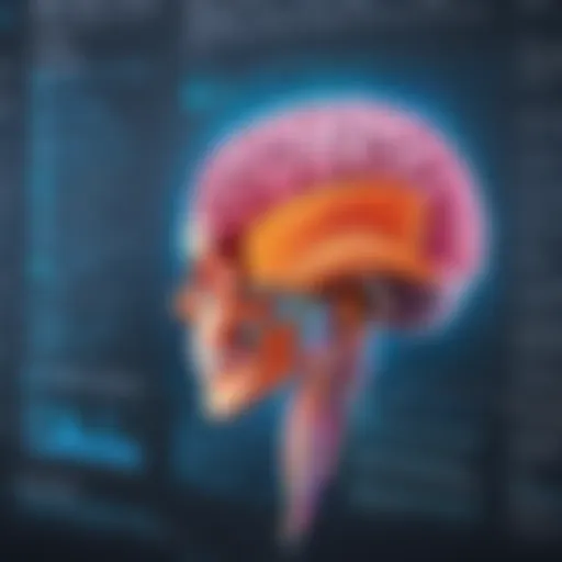 Illustration depicting the anatomy of a coding function