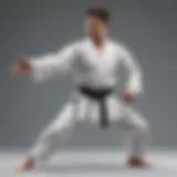 Martial artist demonstrating kumite technique