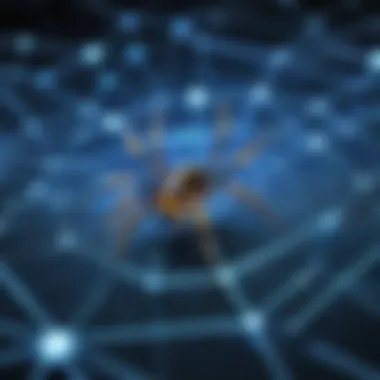 Showcase of Popular Open Source Web Spiders Visual representation of popular open source web spiders