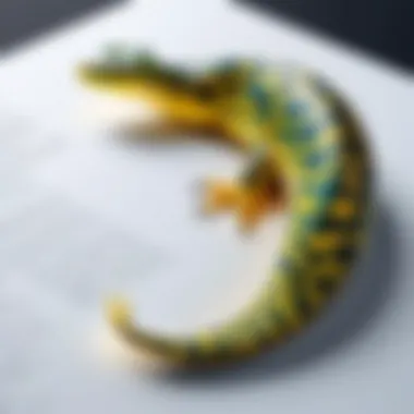 Understanding Python Syntax Visual representation of Python programming syntax