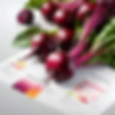 Unveiling the Nutritional Powerhouse: Beets' Nutrient Profile Nutrient profile chart of beets highlighting key components