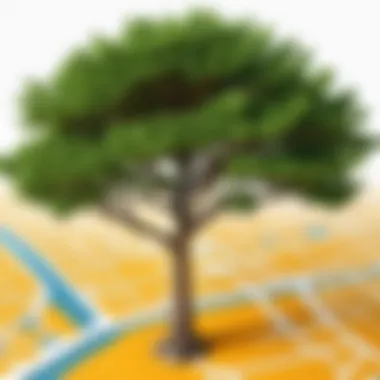 Real-world application of Tree Maps in programming