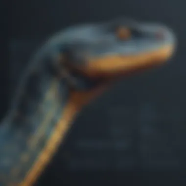 Innovative Python Coding Algorithm Illustration Innovative Python Coding Algorithm