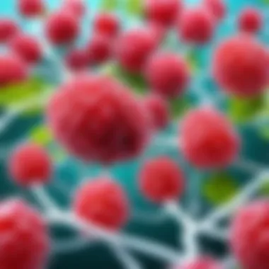 Metabolic Symphony of Raspberry Ketones Intricate metabolic pathways influenced by raspberry ketones