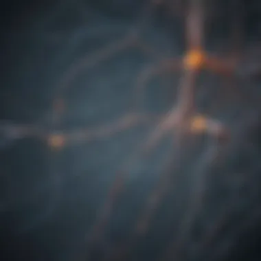 Neural Pathways Insight Intriguing visual metaphor for the neural pathways of behavior