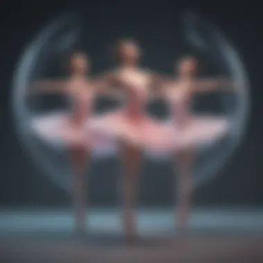 The Harmonious Separation Ballet The Harmonious Separation Ballet