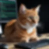 Terminal showcasing the use of the cat command with file content displayed