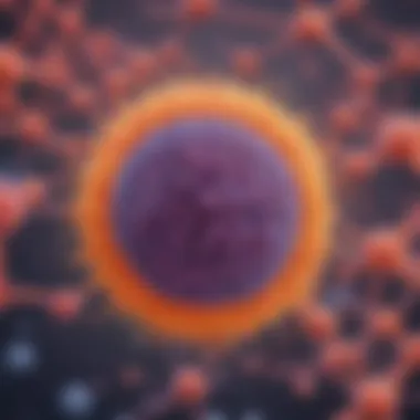 Microscopic View of Cellular Vitamin Absorption Microscopic View of Cellular Vitamin Absorption