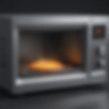 Microwaves interacting with food particles