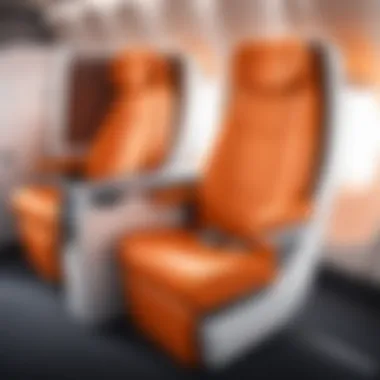 Comfortable premium economy seating