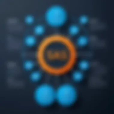 Diagram highlighting the advantages and challenges of using SAS