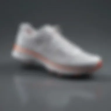 Sleek and Stylish Racewalking Shoe Design