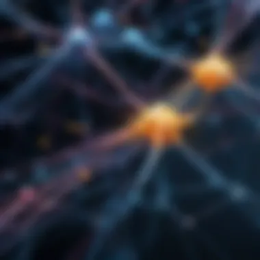 Neural Networks in Clustering Visualization of neural networks contributing to clustering
