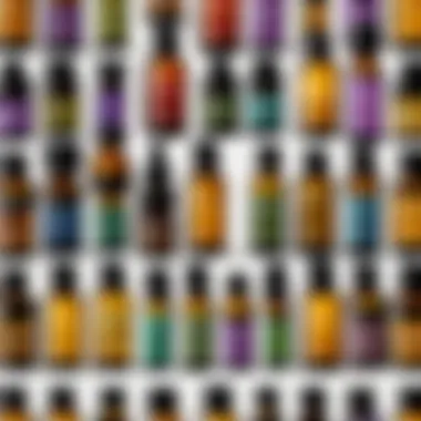 Collection of Essential Oils Close-up of various essential oils in small bottles