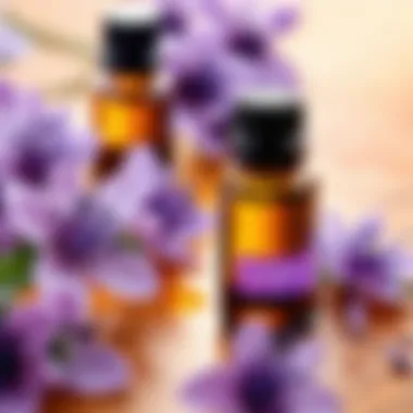 Soothing Blend of Essential Oils A soothing blend of essential oils for eczema relief