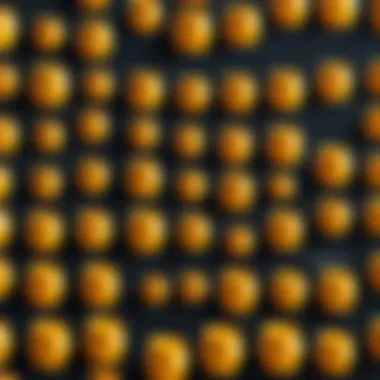Different Types of Honeypots Illustration of various honeypot types in cyber security