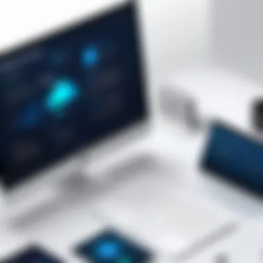 SaaS Implementation Framework Overview of SaaS Implementation Framework