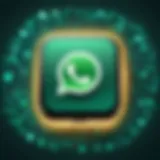 Overview of WhatsApp security features