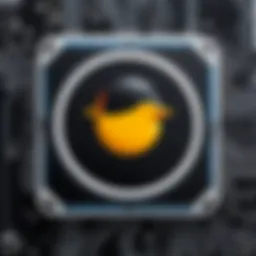 Symbolic representation of the patch utility in Linux