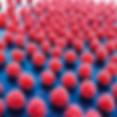 Vivid Fat Oxidation Journey Vibrant colors representing fat oxidation process