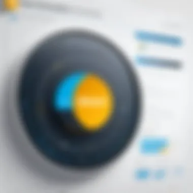 Visualization of effective data management with SAP program