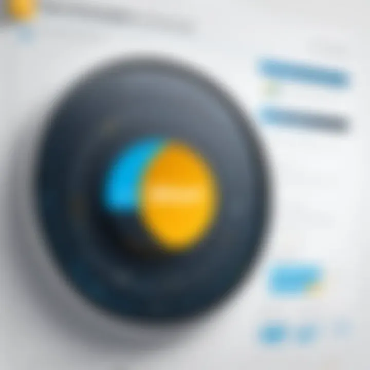 Visualization of effective data management with SAP program