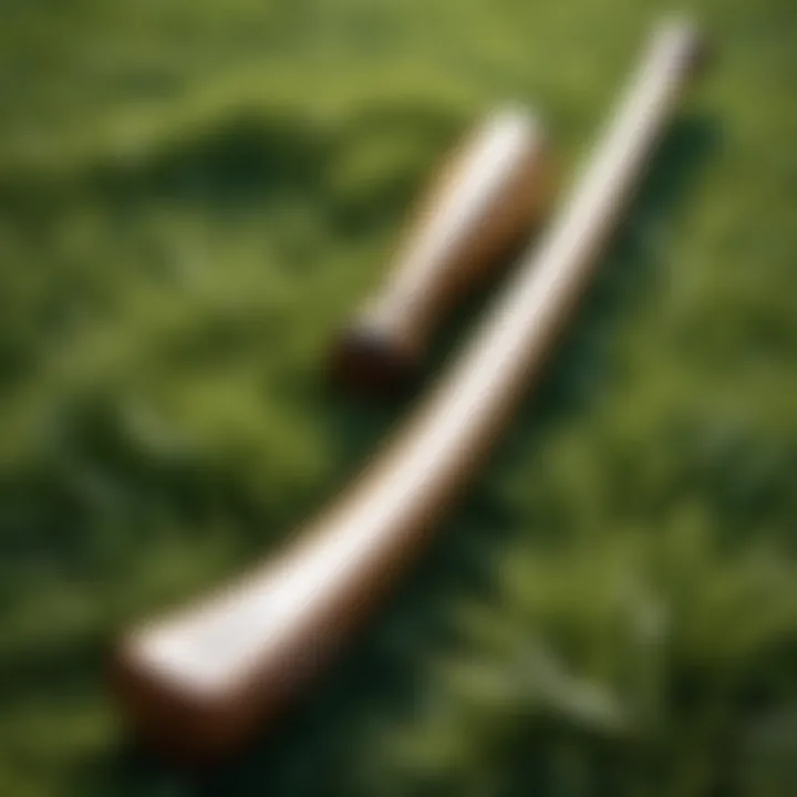 Wooden baseball bat on a field of grass